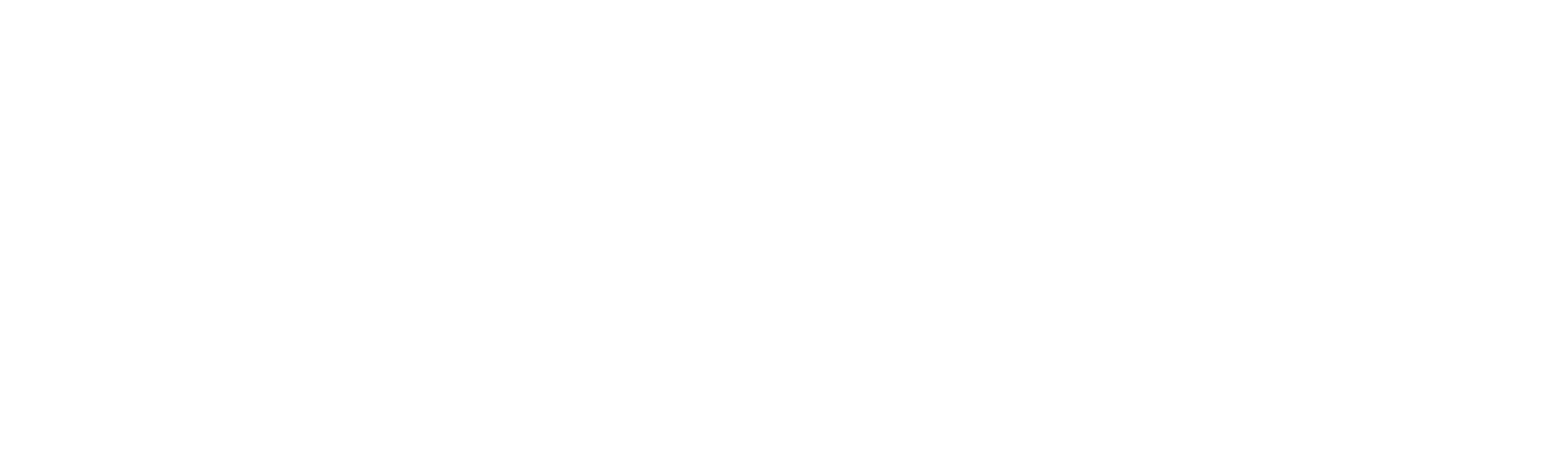 Techniq IT Solutions-Logo